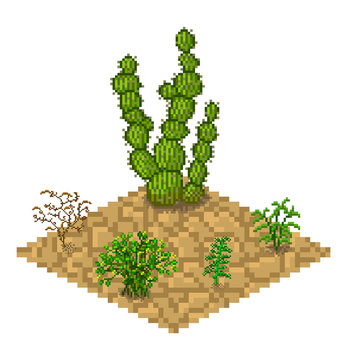 Set of vector isolated cactus plants