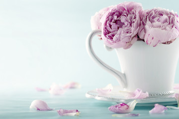 Pink peony flowers © Anna-Mari West