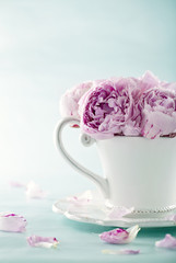 Pink peony flowers