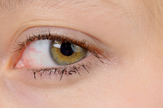 close-up of the eye of a girl