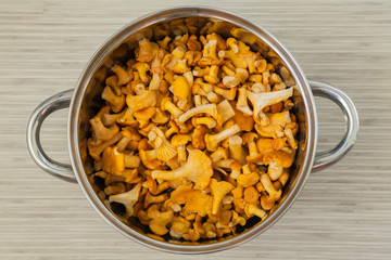 fresh raw chantarelles in a pot