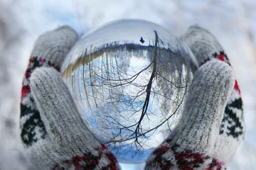 Foto op Plexiglas Bol kristallen bol in de hand