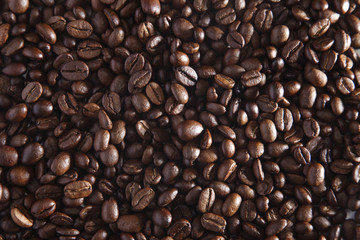coffee bean