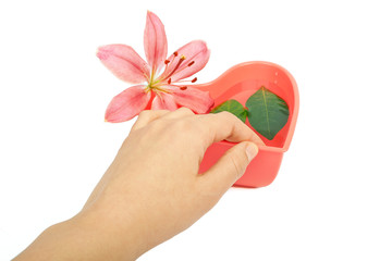 Heart-shaped bowl with water for manicure, leaves and lily isola