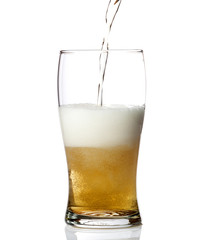 Beer