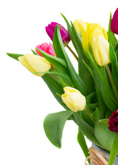 bouquet of  yellow and purple  tulip flowers