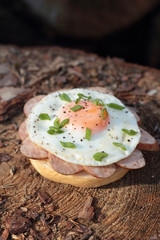 Pork sausage and fried egg with chopped chives sandwich.