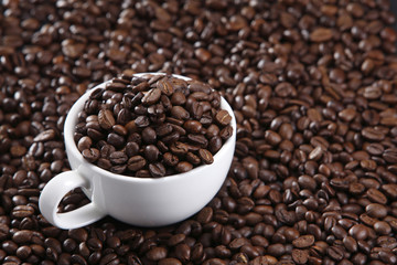 cup of coffee bean