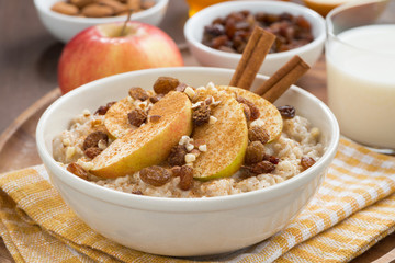 oatmeal with apples, raisins, cinnamon and ingredients, close-up