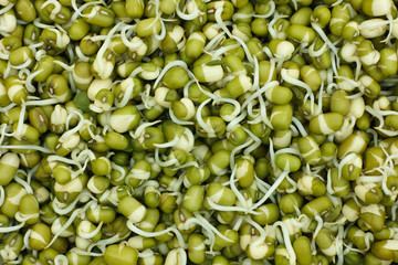 Sprouted mung beans