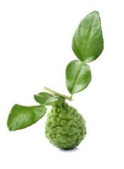 Fototapeta premium Bergamot isolated white background.