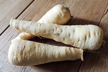 Panais, Pastinaca sativa