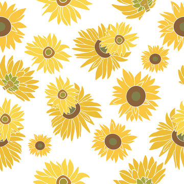 Sunflower vector seamless pattern on the white background