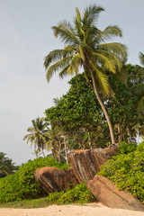 Красивый пляж на острове Шри-Ланка