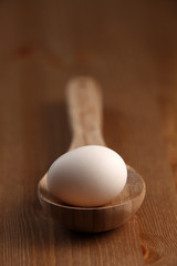 egg