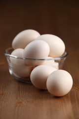 egg