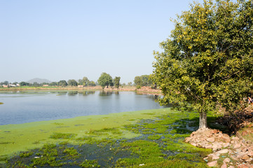 Fototapeta na wymiar Narora lake at the village of Khajuraho