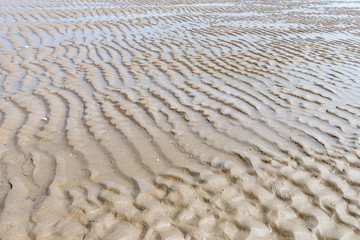 Yellow sand texture for background