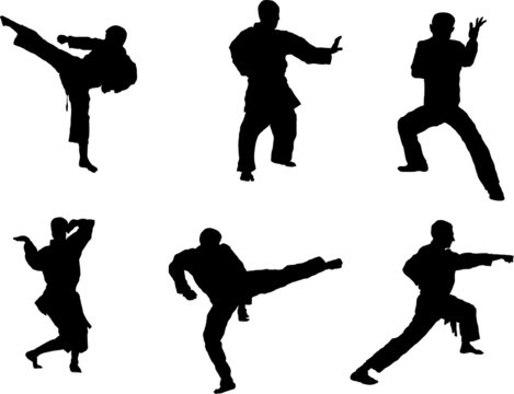 Martial art silhouette
