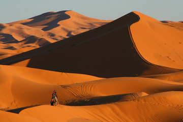 Fototapeta premium balade en dromadaire dans le désert de Merzouga au Maroc