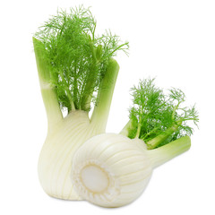 Fresh two fennel isolated on a white background
