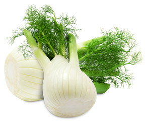 Fresh two fennel isolated on a white background