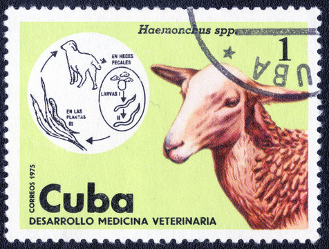 CUBA - CIRCA 1975: