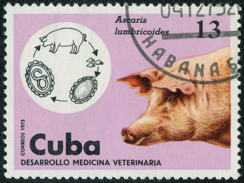 CUBA - CIRCA 1975: