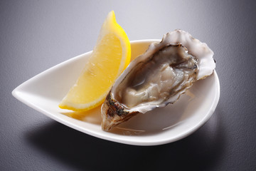 oyster