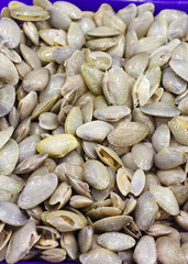 Obraz premium Fresh Clams