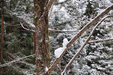 brincadeira da natureza