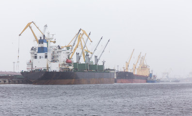 Fototapeta premium cargo bulk carrier