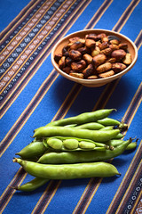 Fresh raw fava beans (lat. Vicia faba, South America: haba)