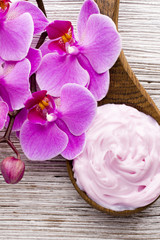 Obraz na płótnie Canvas Pink orchid flower.