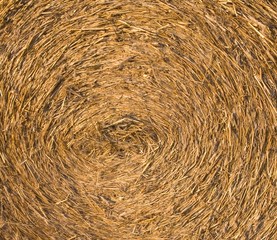 Straw bale background