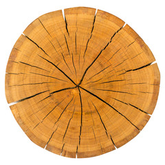 Tree Ring Isolated On White