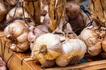 Garlic bunches in a farmers market