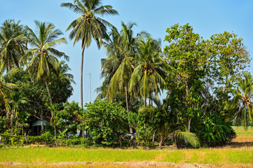 Sri Lanka