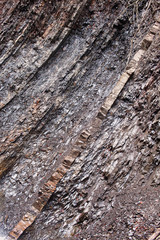 The layered rocks
