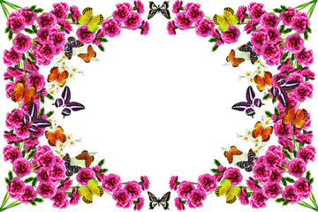 flowers and butterflies on a white background. frame