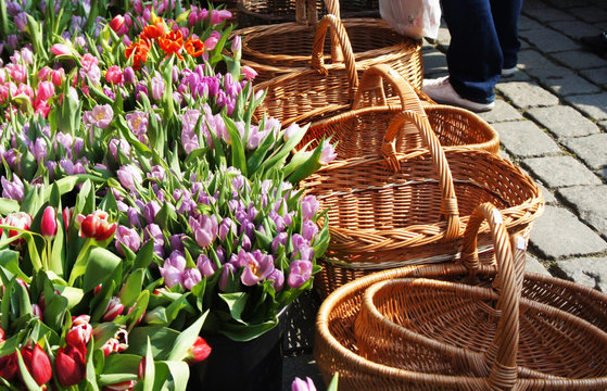 Market with a lot of tulips