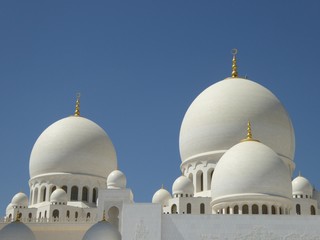 Fototapeta na wymiar Scheich-Zayid-Moschee mit Putzkraft