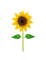 Illustration of polygonal sunflower