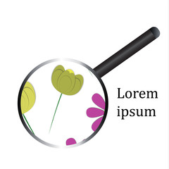 Flower under the magnifying lens