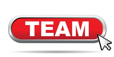TEAM ICON