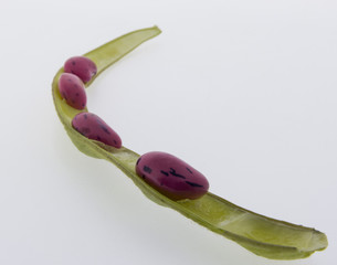 Kletterbohnen, Feuerbohnen auf weißem Hintergrund hoher Nährwert