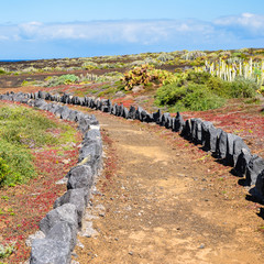 Weg durch karge Landschaft auf Teneriffa