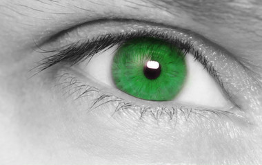 Fototapeta premium Green eye . Macro shot