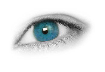 Blue eye, isolated on white background. Macro shot
