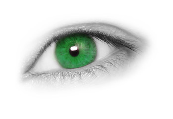 Greenl eye, isolated on white background.